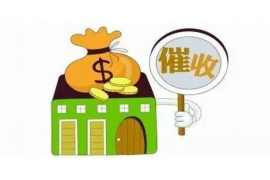 宁城如何避免债务纠纷？专业追讨公司教您应对之策